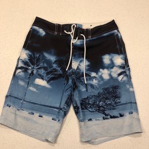 American Eagle Swim Trunks